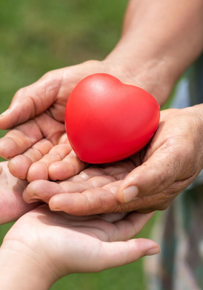 online-donation-3 online-donation-3